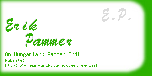 erik pammer business card